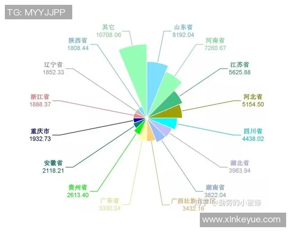 深入探讨北京攀岩队近期状态表现的数据分析与趋势解读